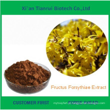 Melhor Venda Extrato Natural Fructus Forsythiae